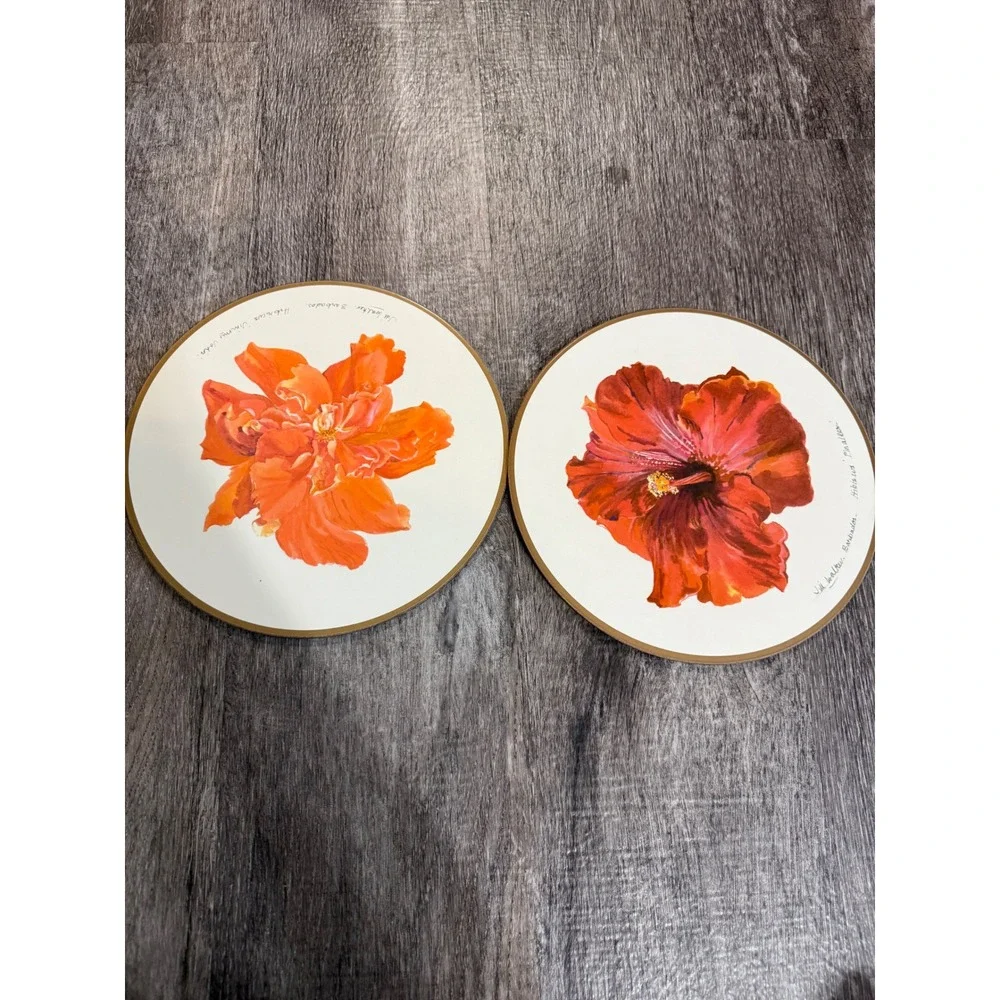 Jill Walker Hibiscus Round Placemats Set of6 Barbados Floral Acrylic Heat Resist